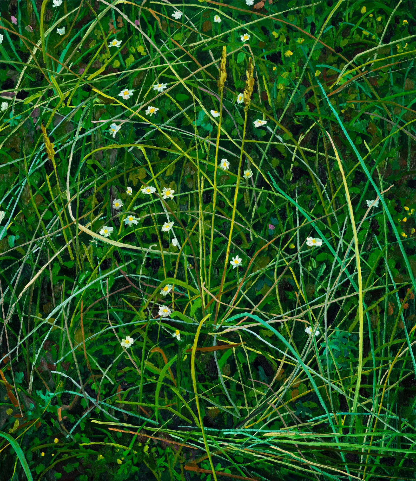 Claire Sherman, <em>Wildflowers</em>, 2020. Oil on canvas, 30 x 26 inches. Courtesy DC Moore, New York.