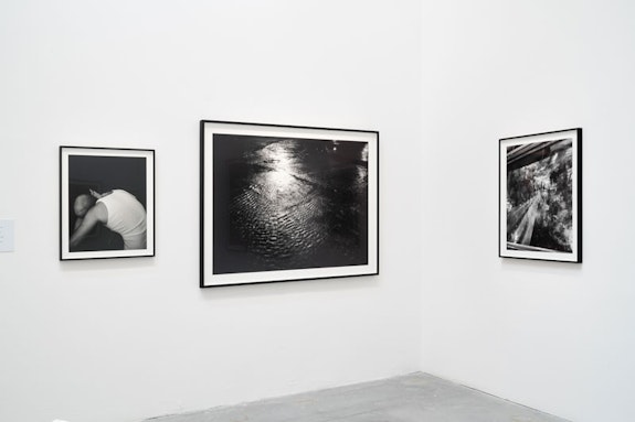 Elle Pérez, <em>Yet to be titled</em>, 2022. Installation of photographs. Archival pigment prints and digital silver gelatin prints. Dimensions variable. Courtesy: La Biennale di Venezia Photo: Marco Cappelletti.