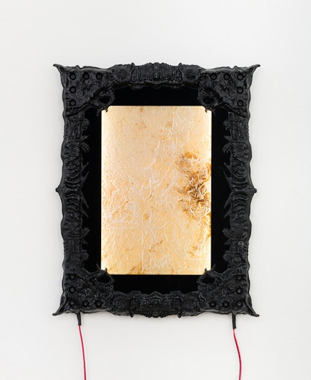 Andrew Rutherdale, <em>Reason’s Nightmare II</em>, 2022. Laser-engraved SCOBY on acrylic panel, ABS, epoxy resin, aluminum framing, LEDs, 15.75 x 12 inches. Courtesy Hunter Shaw Fine Art, Los Angeles. Photo: Ruben Diaz. 
