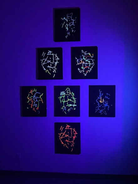 Installation view, <em>Warren Neidich: The Brain Without Organs: The Aporia of Care</em>, at Museum of Neon Art, California, 2022. Courtesy the Museum of Neon Art.