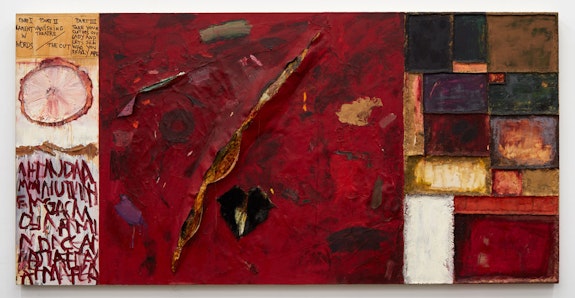 Joan Snyder. <em>Vanishing Theater/The Cut</em>, 1974. Oil, acrylic, paper mache, thread, fake fur, paper, chicken wire on canvas, 60 x 120 inches. Courtesy the artist. Image courtesy KARMA.