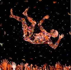 Fred Tomaselli, 