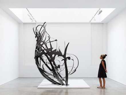 Matthew Ritchie, <em>Shadow Drawing</em>, 2022. Powder coated steel and organic plant material. 129.6 x 192 x 120 inches. Courtesy James Cohan.