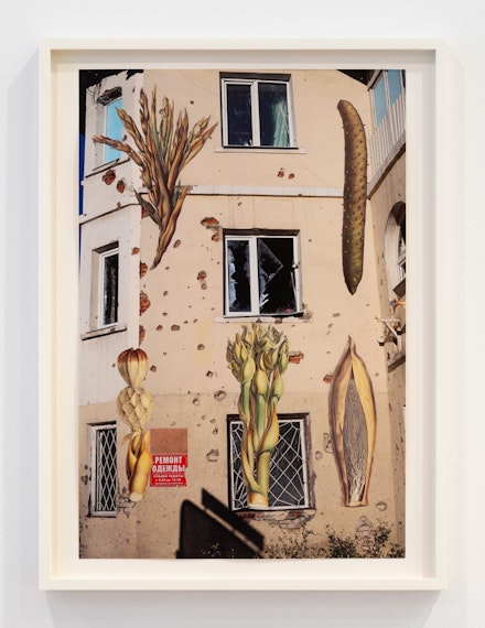Nikita Kadan, <em>Protection of Plants (2014-2022)</em>, 2022. Inkjet print and collage on paper. 16 1/2 x 11 in. Courtesy Miguel Abreu Gallery.