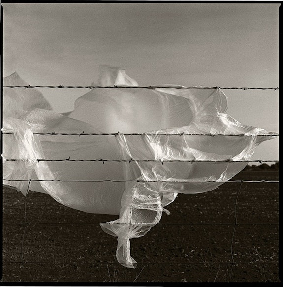 Ashton Thornhill,<em> Wind Fence.</em> Courtesy the artist.