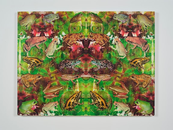 Philip Taaffe, <em>Panel with Larger Frogs</em>, 2022. Mixed media on panel, 30 7/8 x 41 5/8 inches. © Philip Taaffe; Courtesy of the artist and Luhring Augustine, New York. Photo: Farzad Owrang.