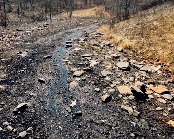 Current site of Harriet Feigenbaum’s <em>Erosion and Sedimentation Control Plan for Red Ash and Coal Silt Area — Willow Rings</em> (1985). Photo by the author.