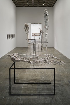 Installation view, 2008 Biennial (March 16 – June 1, 2008). Courtesy Whitney Museum, N.Y. Photograph by Sheldan C. Collins. 