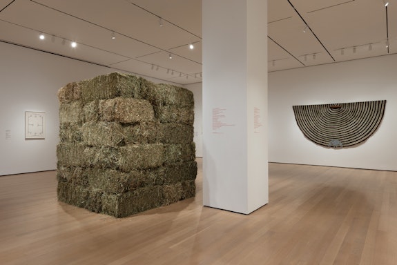 Installation view: <em>Chosen Memories: Contemporary Latin American Art from the Patricia Phelps de Cisneros Gift and Beyond</em>, The Museum of Modern Art, New York, 2023. Photo: Jonathan Dorado.