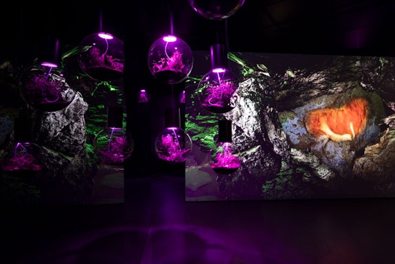 Hito Steyerl, <em>Animal Spirits</em>, 2022. Single channel HD video, live computer simulation, sensor devices, glass spheres, organic materials. Duration: 24 min; simulation duration variable; dimensions variable. Exhibition view: Hito Steyerl, Contemporary Cave Art, Esther Schipper, Berlin, 2023. Courtesy the artist, Andrew Kreps Gallery, New York, and Esther Schipper, Berlin/Paris/Seoul. © The artist / VG Bild-Kunst, Bonn 2023 Photo: Andrea Rossetti.