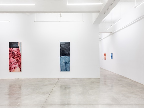 Installation view: <em>Kang Seok Ho: Deep is the rising sun, far is the falling one</em>, Tina Kim Gallery, New York, 2023. Courtesy Tina Kim Gallery. Photo: Charles Roussel.