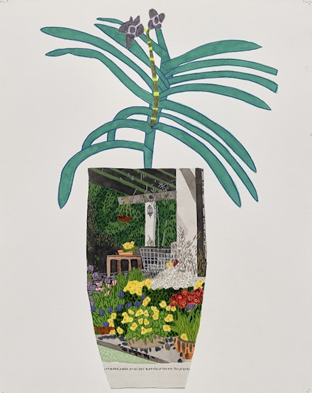 Jonas Wood, <em>Blue Plant Landscape Pot</em>, 2016. Gouache and colored pencil on paper, 21 1/4 x 17 inches. Courtesy of the artist and Karma. 