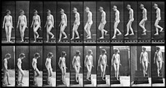 Woman walking downstairs from Eadweard Muybridge's Complete Human and Animal Locomotion, 1887