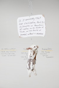 “praying to a dead hare, or watch out madness is a reality, not a perversion” (2010). Taxidermy, paper, wire, misc. hardware – dimensions variable.
Courtesy of Simon Preston Gallery.