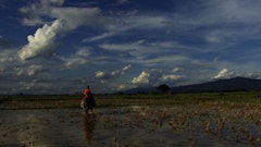 Uruphong Raksasad, <i>Agrarian Utopia</i>, 2009. Images courtesy of Extra Virgin.