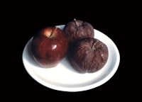 <p>Kazumi Tanaka, <em>Two Apples</em>, 1997 - ongoing. Apples, polychromed plaster, ceramic plate. 7 x 7 x 3 inches. (c).</p>