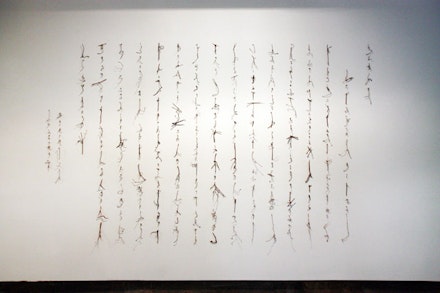 Cui Fei, Manuscript of Nature V_XXXII, 2012. Installation view at Chambers Fine Art.