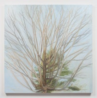 Sylvia Plimack Mangold, “Winter Maple,” 2010. Oil on linen. 44 x 44”. Photo: Joerg Lohse. Image courtesy of Alexander and Bonin.