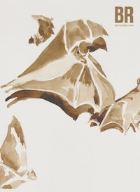Michael Armitage, <em>Bats</em>, 2019. Ink on paper, 9 1/4 x 12 1/4 inches. &copy; Michael Armitage. Photo &copy; White Cube (Theo Christelis).